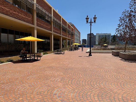 IMG 2525