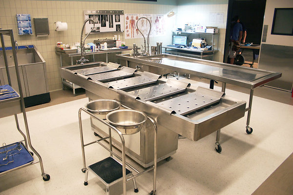 Capital+Arts+Set,+Hospital-4