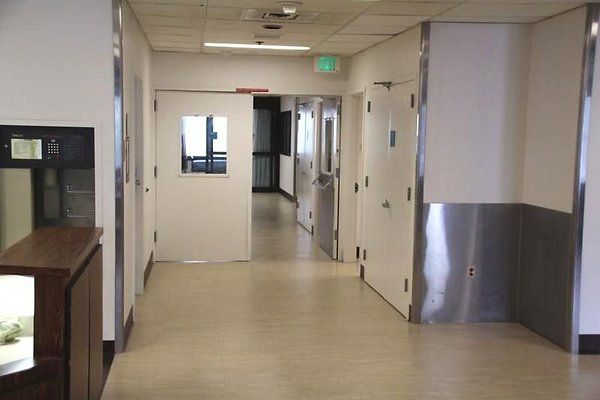 UNIVERSAL-8979-BB-17 UNIVERSAL-8979-BB-17